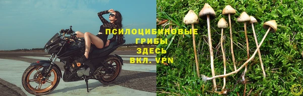 экстази Алексеевка