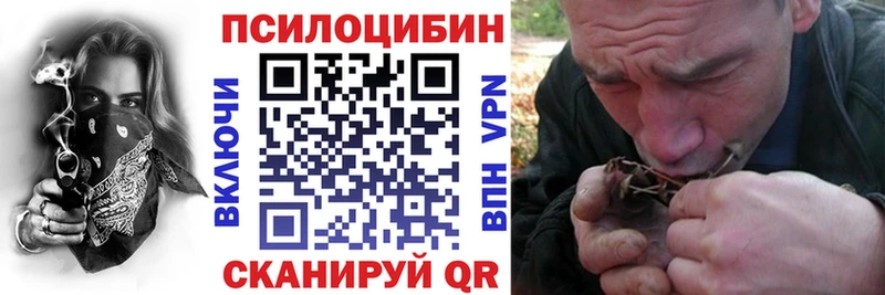 Галлюциногенные грибы Psilocybe Котово